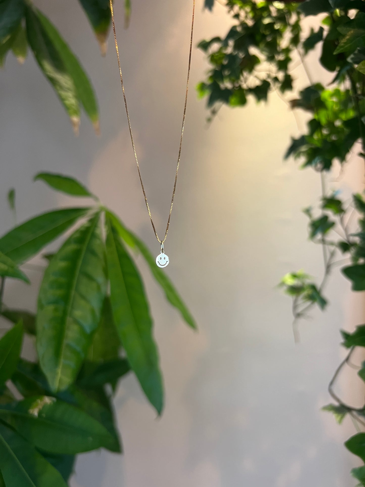 Smiley bedel 14k goud