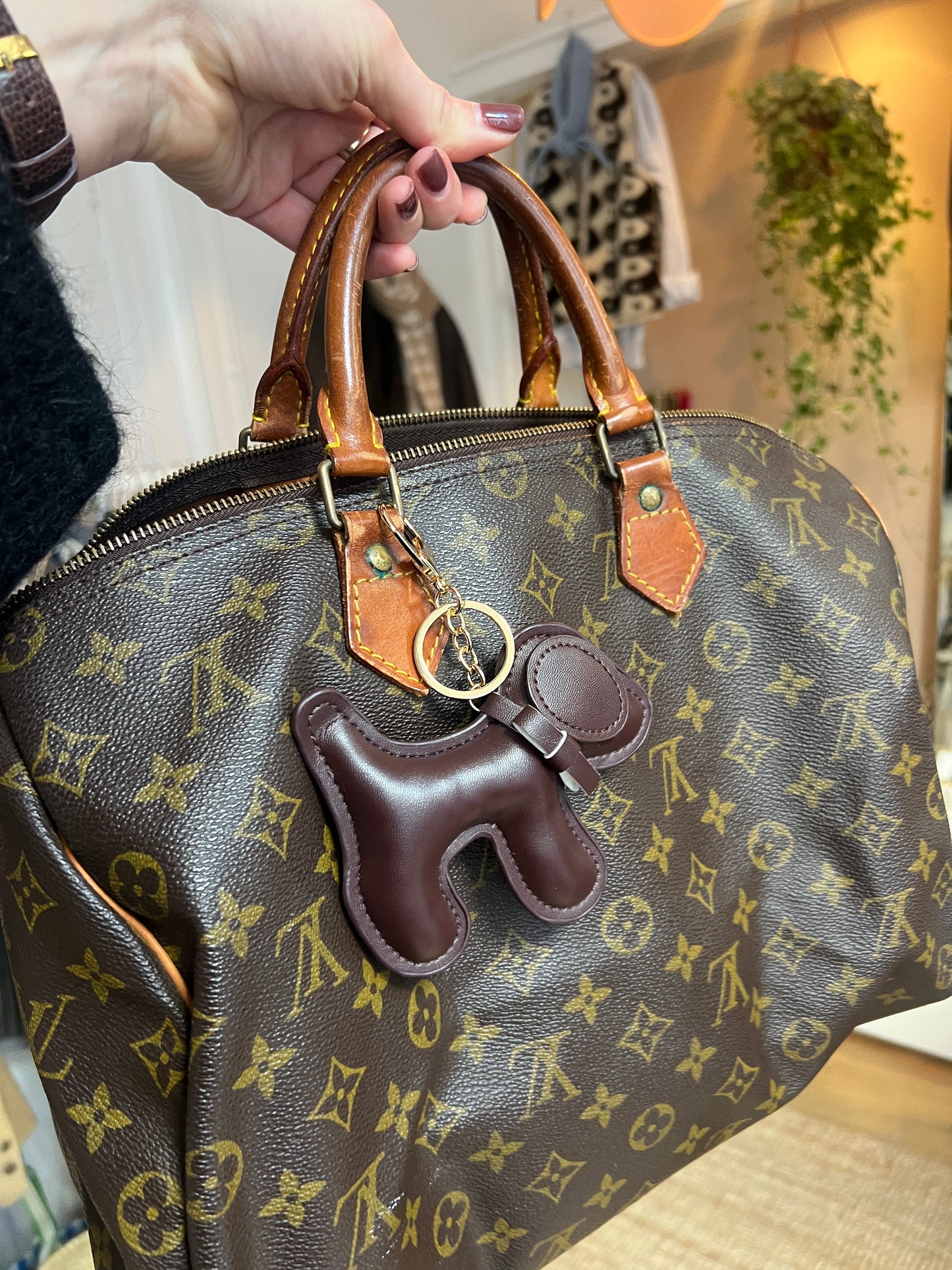 Bagcharm hondje